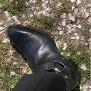 お猿の上司の画像
