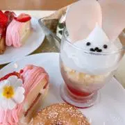 たまの画像