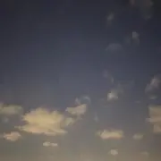 りりの画像