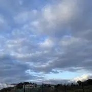 suuchanの画像