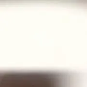 サハラの画像