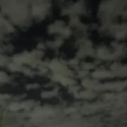 norinoriの画像