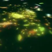 ma_naの画像