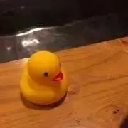 かぼすの画像