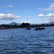 とっちんの画像