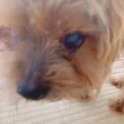 mai⚠️ プロフお願いしますの画像
