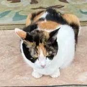 ゆあ