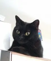 れおの画像