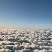 まーらいおん