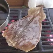 スルメ( ˊ̱˂˃ˋ̱ )の画像