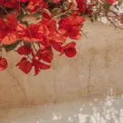 Aの画像