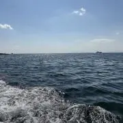 トランジスタの画像