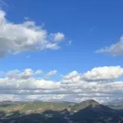 リノの画像