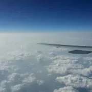 ヤボくんの画像