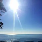 まるこ（プロフ必読）の画像