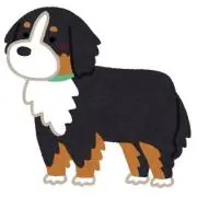 ALFの画像