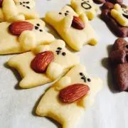 mochaの画像