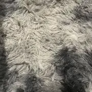 みんぐぐの画像