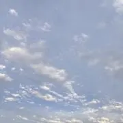 きむちの画像