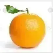 orangeの画像