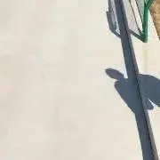 エス