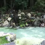 ゆゆゆの画像