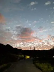 ゆんの画像