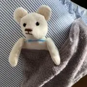 くまたの画像