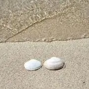 Amiの画像