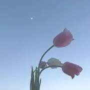るあの画像