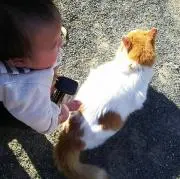 ちび