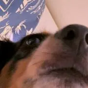Kubosanの画像