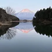 ブラドオレンジ［即購入可です！］の画像
