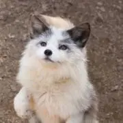reeeeeeq13の画像
