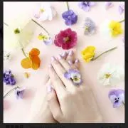 sakuraの画像