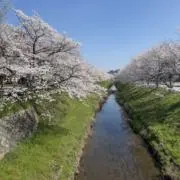 にしやん^o^
