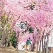 nahooonの画像