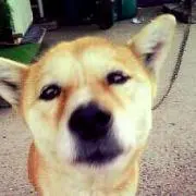 みか