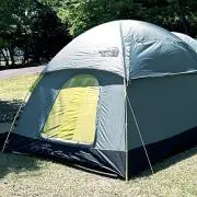 とっしぃの画像