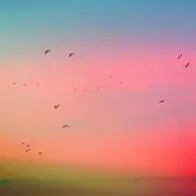 ウニ