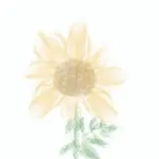 ペケ