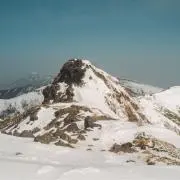 シマの画像