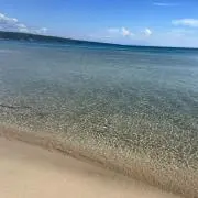 あーの画像
