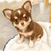 あぱの画像