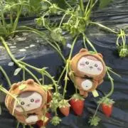 まーくんの画像