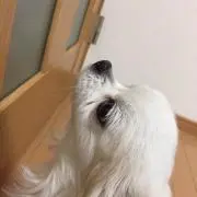 モアナ