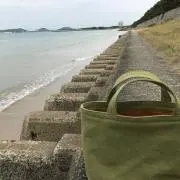 とるた