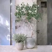 kの画像