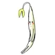 もやし