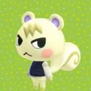 くるみの画像